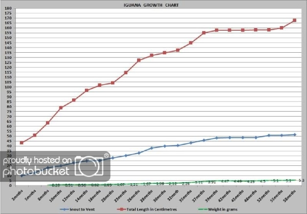 Iguana Growth Chart
