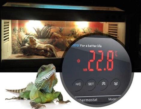 reptile tank thermostat